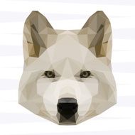 Abstract polygonal geometric triangle white wolf background