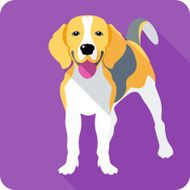 Vector dog icon flat design N6