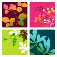 Nature Vignettes