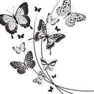butterflies design N6