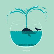 Crazy whale N2