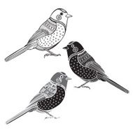Set of birds isolated on white background