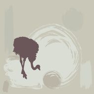Ostrich silhouette on grunge background vector