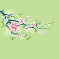 bloom N3