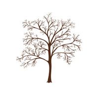 tree with branches without leaves