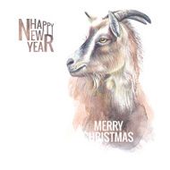New Year Goat N8
