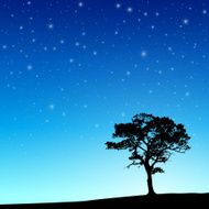 Tree with Night Sky N3