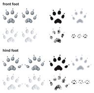 Mink footprints