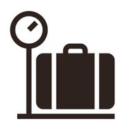 Luggage on weigh scales icon N2