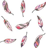 multicolored feathers with contour on a white background