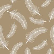 Feathers N48