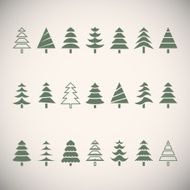 Fir trees N2