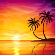 Sunset Sunrise with Palm Trees