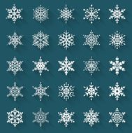 Flat snowflakes Vector icons set