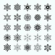 Abstract snowflake shapes Vector set