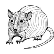 Rat or mouse head vector animal illustration