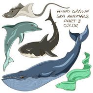 Set of isolated sea animals
