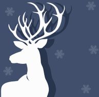 White deer