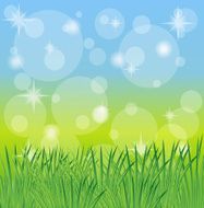 green grass on a blue background N3