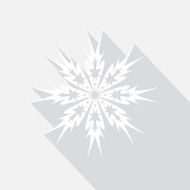 snowflake icon N25