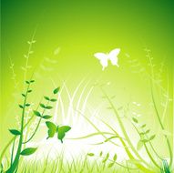 vector floral ornament N4