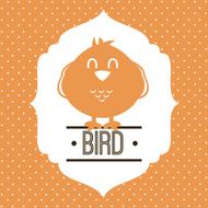 Bird Design N25