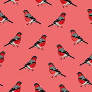 Bullfinches red seamless vector print