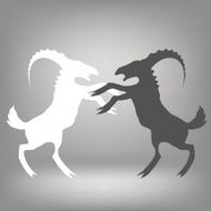 two goats N2