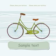 Bike N17
