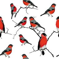 Bullfinches on the branch seamless vector pattern N3