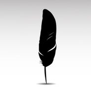 feather N40