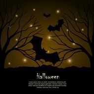Halloween N502