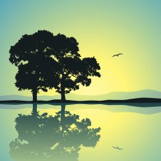 Two trees N4