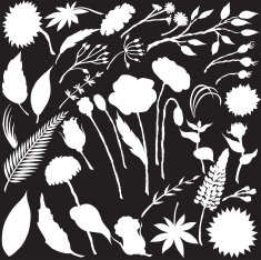 Vector silhouette of different flowers N10