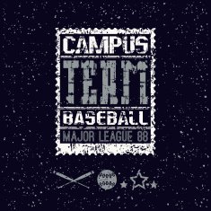 College print baseball team N2
