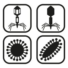 Virus icon - four variations