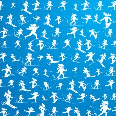 winter extreme sport pattern