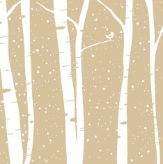 Birch Forest in Winter click & scroll down for more!