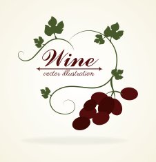wine design N19