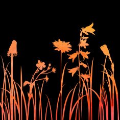 Silhouettes of flowers and grass N61