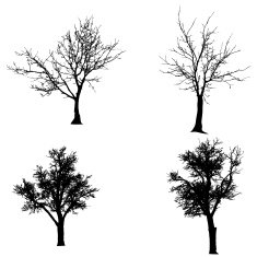 Vector silhouette of tree N42