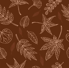 vector silhouette of various leaves N3