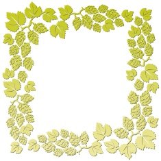 Hop pattern N3