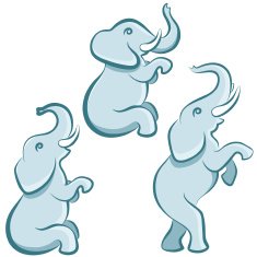 Elephant in various poses