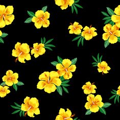 hibiscus repeats N21