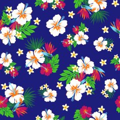 hibiscus repeats N22