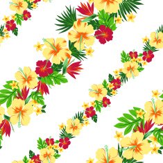 hibiscus repeats N23