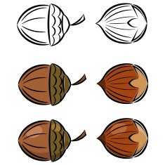 Cartoon set of vector images hazelnut and acorn eps10