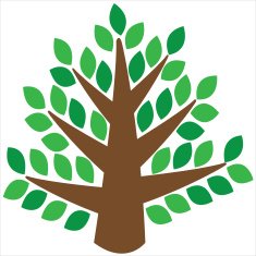 Tree isolated on a white background N2