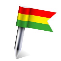 Vector Bolivia country flag N2